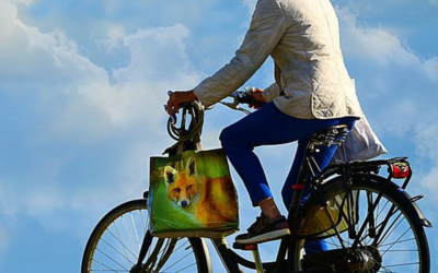 „Jetzt! Mehr Radverkehr im Westerwald“ ist das Motto  WÄLLER FAHRRADKONGRESS ERLEBT IM OKTOBER SEINE PREMIERE